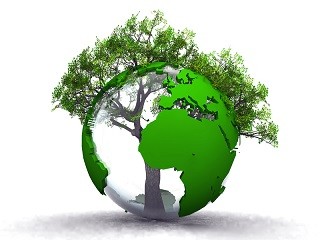 Environnement et cadre de vie